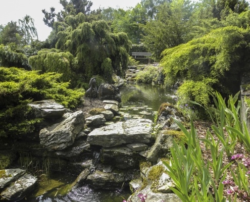 B&B Plattestien - siertuin met vijver